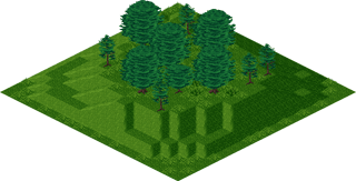 Forest Terrain